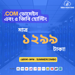 Web Hosting Bangladesh Domain Hosting Combo